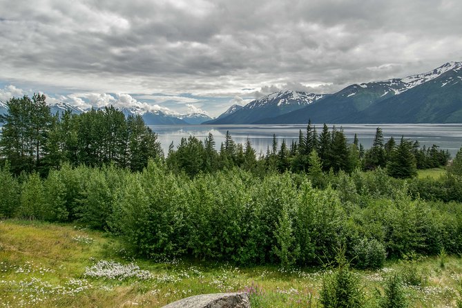 Alaska Wildlife Day Tour With Free Hotel Pickup - Sum Up