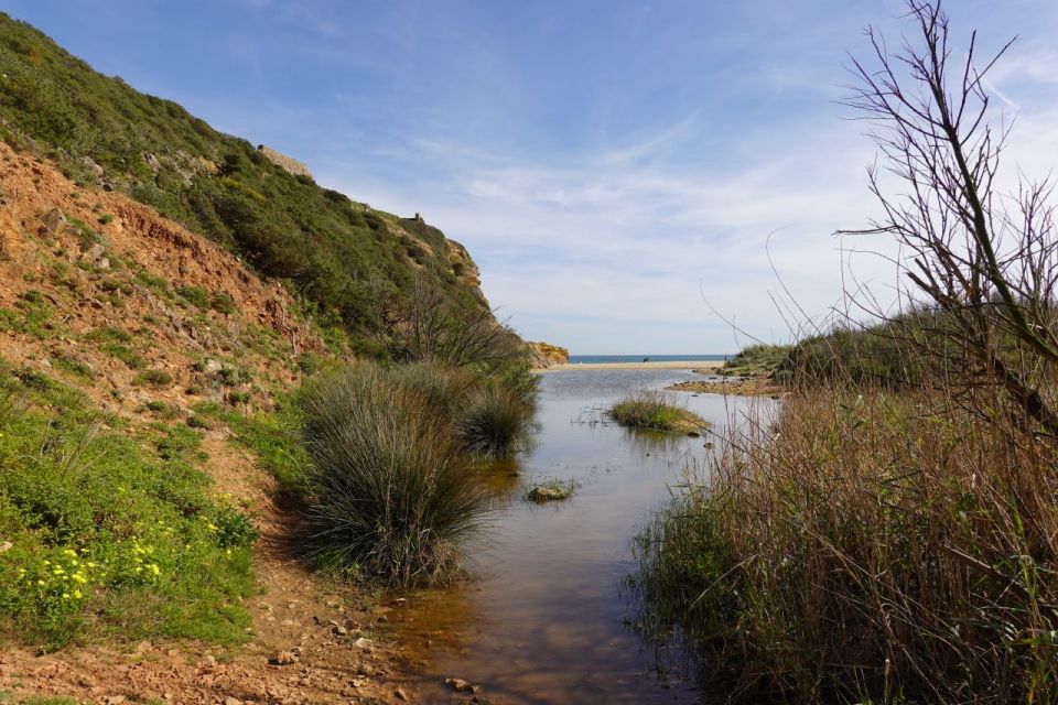 Algarve: Guided WALK in the Natural Park South Coast - Logistics