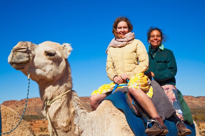 Alice Springs Camel Tour - Overall Satisfaction