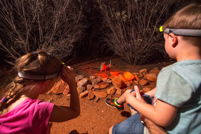 Alice Springs Desert Park Nocturnal Tour - Common questions
