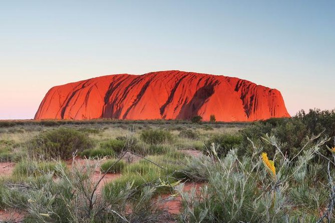 Alice Springs to Ayers Rock (Uluru) One Way Shuttle - Highlights of the Journey