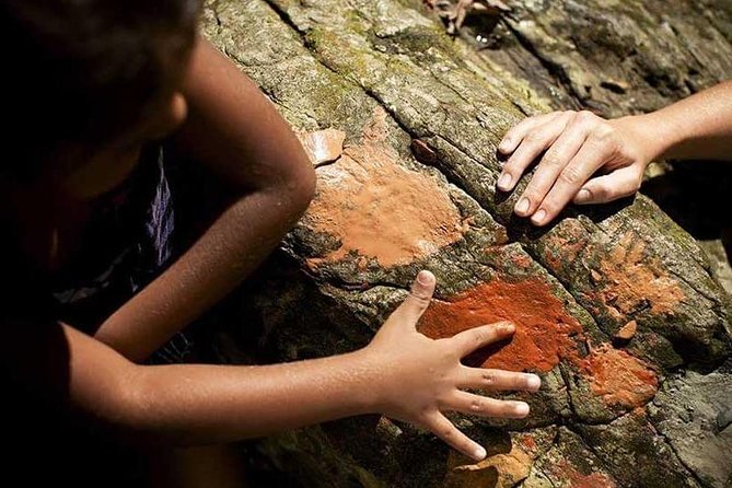 All-Day Tour of Daintree Rainforest With Aboriginal Guide  - Port Douglas - Common questions