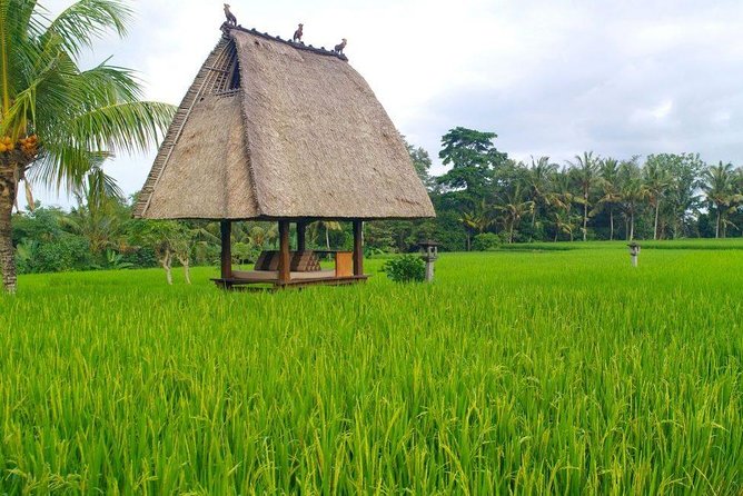 All-Inclusive Ubud Tour - Pick Up and Drop Off Locations