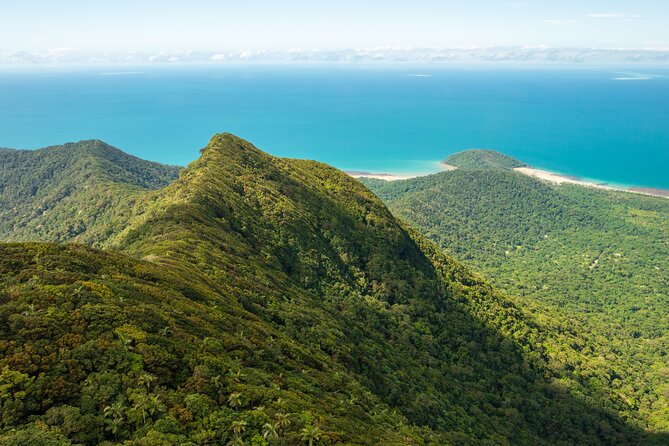 Amazing Daintree Rainforest Tour Waterfall Hike, Lunch, Swim & Crocodile Cruise - Helpful Resources