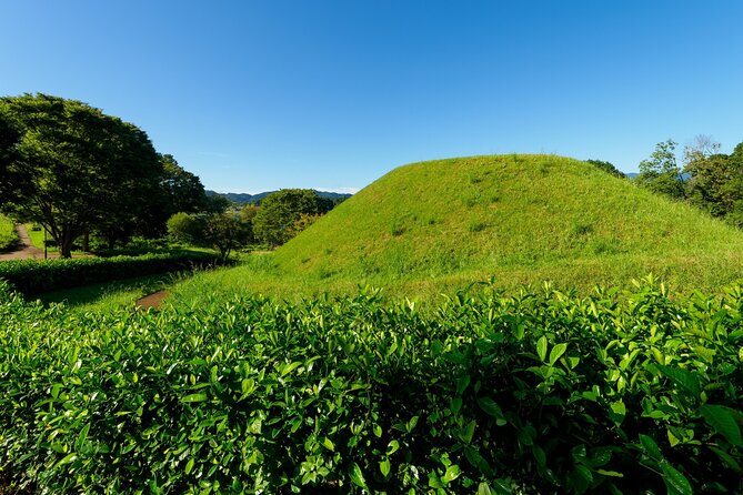 Ancient Nara Walking and Cycling Tour in Asuka - Weather Considerations for Outdoor Activities