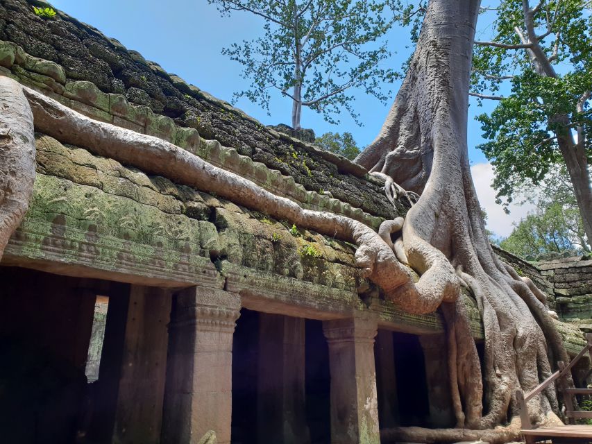 Angkor Sunrise, Taprohm and Angkor Thom. - Detailed Itinerary Overview