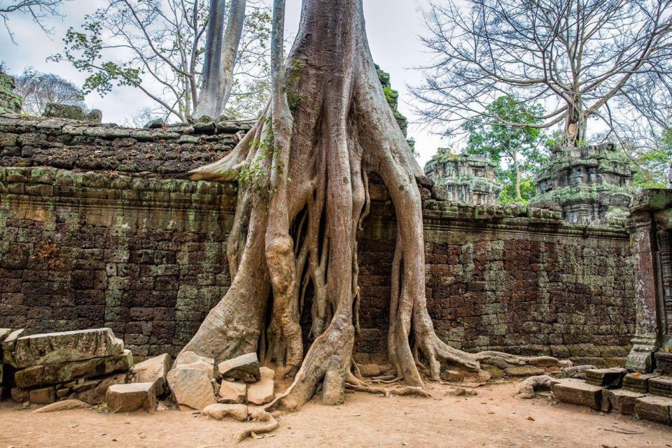 Angkor Wat Small Tour Sunrise With Private Tuk Tuk - Directions