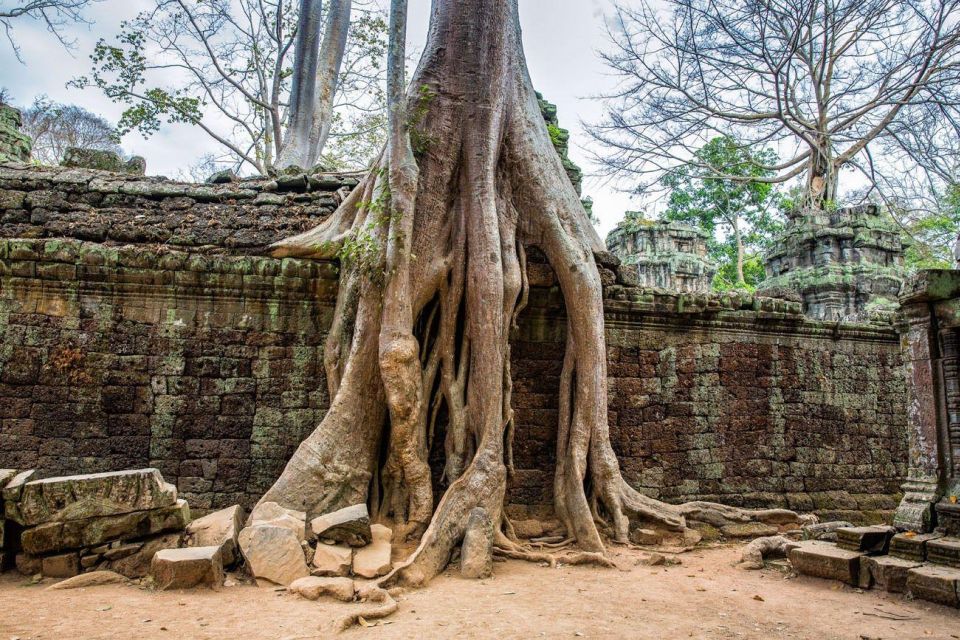 Angkor Wat Small Tour Sunrise With Private Tuk Tuk - Additional Information