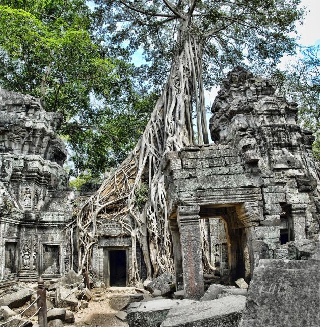Angkor Wat Sunrise Small Group Private Tour - Siem Reap Exploration