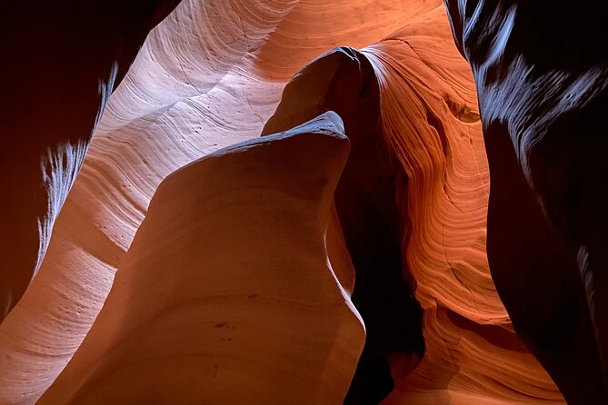 Antelope Canyon and Horseshoe Bend Day Tour With Lunch - Lunch Quality and Dietary Considerations
