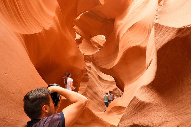Antelope Canyon and Horseshoe Bend Small Group Tour - Customer Feedback on Highlights