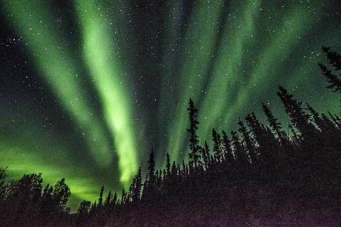 Arctic Circle and Northern Lights Tour From Fairbanks - Tour Organization and Logistics