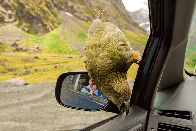 Arthurs Pass Day Trip From Christchurch via Castle Hill - Common questions