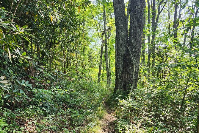 Asheville: Private Half-Day Hike - Common questions