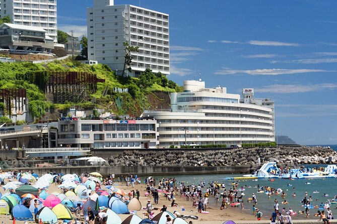 Atami Half-Day Private Tour With Government-Licensed Guide - Cancellation Policy