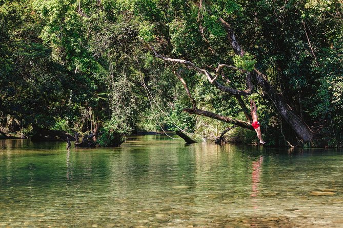 Atherton Tablelands, Waterfalls and Rainforest Tour From Cairns - Key Locations and Stops