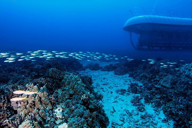 Atlantis Submarine From Kona Beach - Common questions