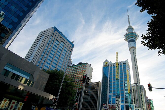 Auckland Airport Transfers: Auckland Airport AKL to Auckland in Luxury Van - Detailed Location and Drop-off Information