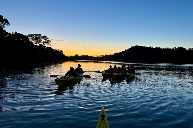 Auckland Bioluminescence Kayak Tour - Customer Reviews