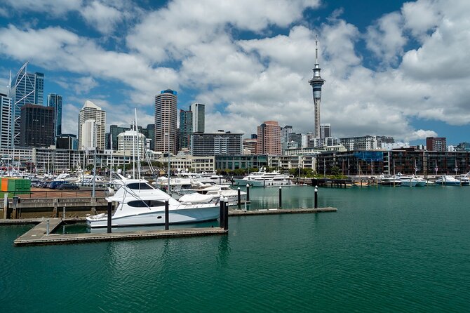 Auckland City Of Sails Half Day Tour - Safety Guidelines