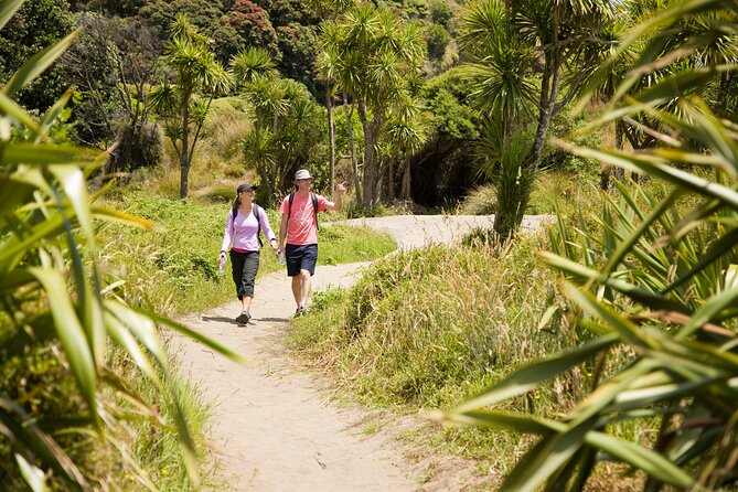 Auckland City, West Coast, & Piha Beach Private Full-Day Tour - Pricing