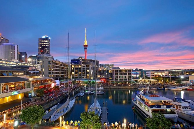 Auckland Fullday City Tour - Sum Up