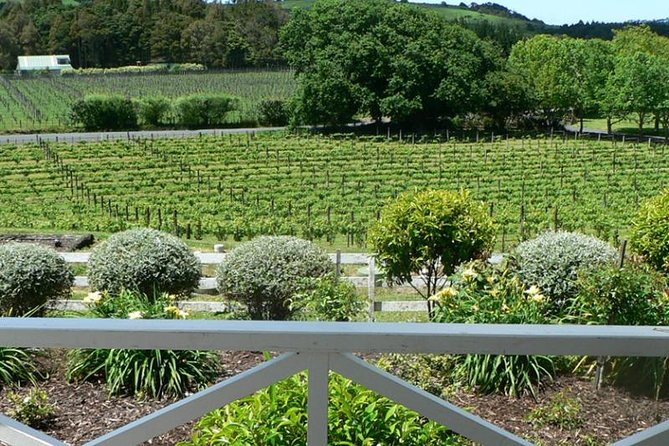 Auckland Shore Excursion: West Coast Wineries Tour - Sum Up