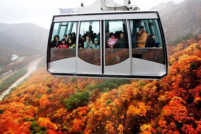 Autumn Limited: Seoraksan X Maple Mountain Cable Car Tour - Additional Information