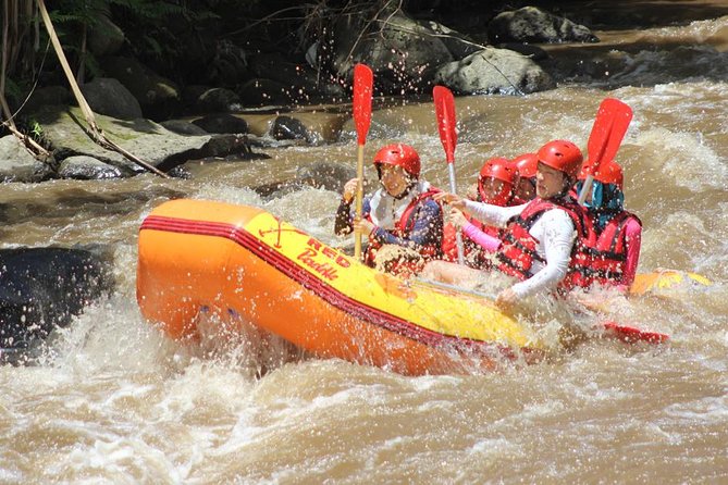 Ayung River - White Water Rafting Bali - Traveler Tips and Recommendations
