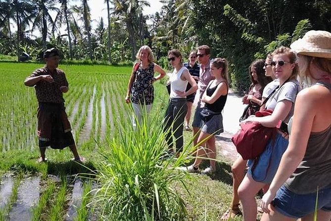 Bali Amazing Cooking Class - Booking and Operational Details