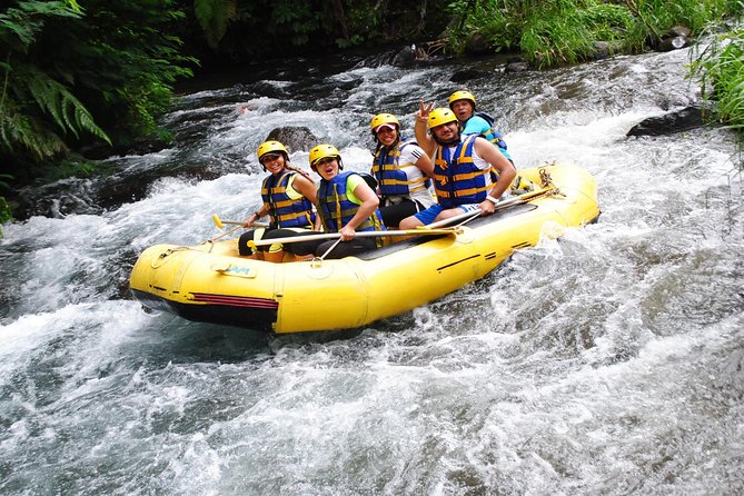 Bali ATV Quad Ride and White Water Rafting With Lunch and Private Transfer - Private Transfer Details