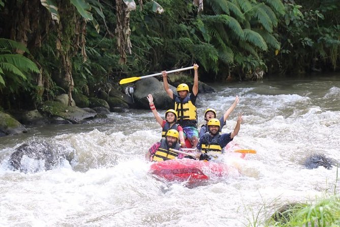 Bali Ayung River White-Water Rafting With Lunch  - Ubud - Sum Up