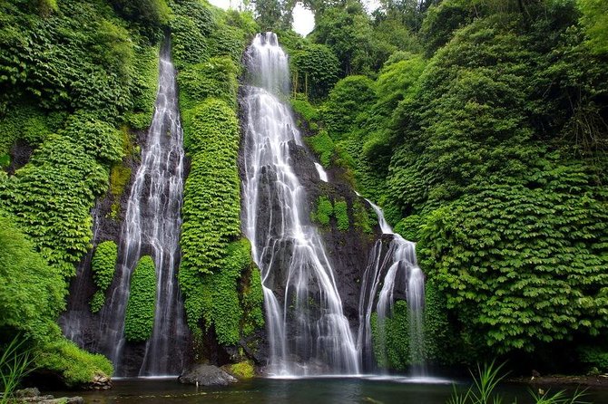 Bali Best Waterfalls Tour : Sekumpul and Banyumala - Coffee Plantation Stop