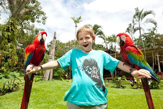 Bali Bird Park Admission Ticket With Hotel Transfer - Traveler Reviews and Ratings
