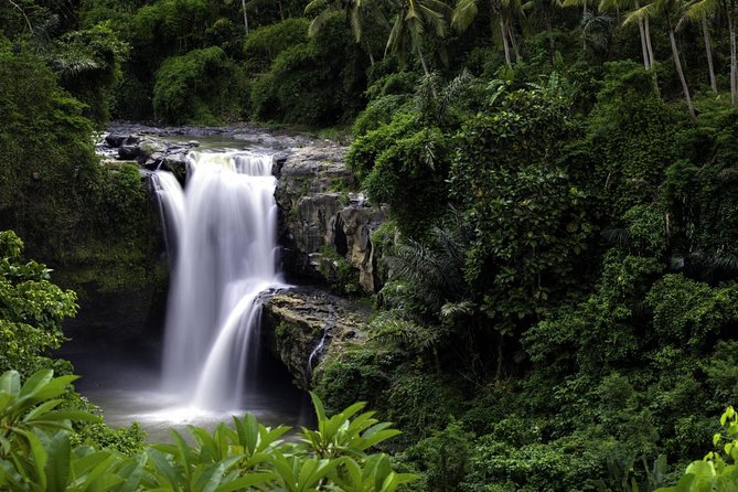 Bali Breathtaking Waterfall Tour (Private & All-Inclusive) - Common questions