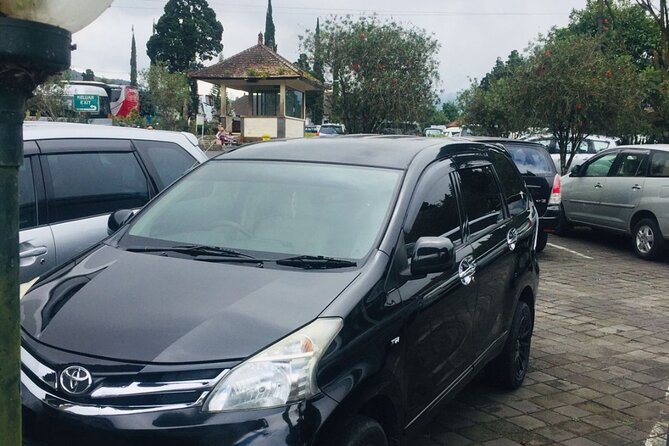 Bali Car Hire With Driver - Positive Feedback on Driver Services