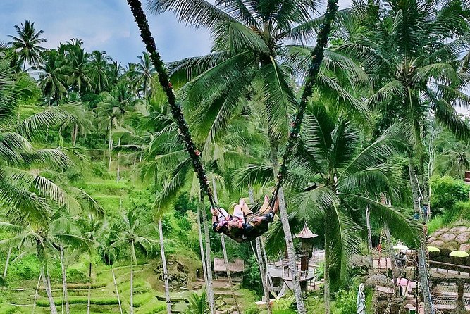 Bali Culture and Choose Your Bali Tour Route in Bali With Bali Driver-Free WIFI - Common questions