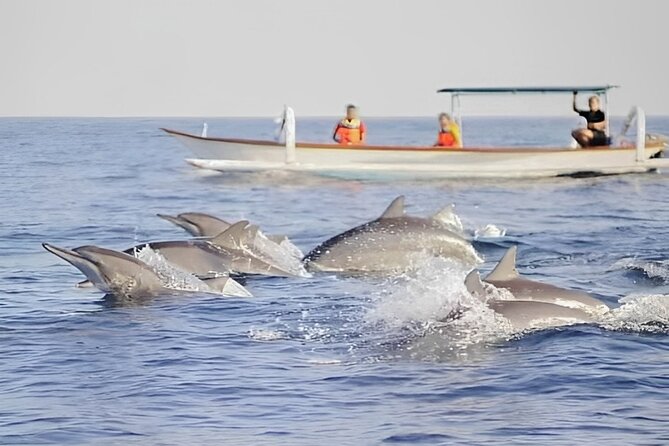 Bali Dolphin Tour With Gitgit Waterfall and Ulundanu Beratan  - Kuta - Sum Up