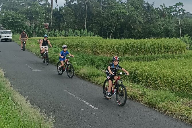Bali Downhill Natural Cycling & Visit Volcano Tour - Tour Route & Cycling Experience