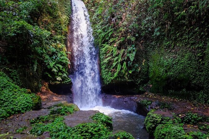 Bali Eastern Best Waterfalls Tour - Traveler Photos and Reviews