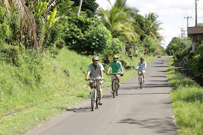 Bali Eco Cycling Tour - Local Impact and Sustainability