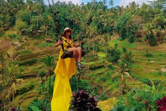Bali Instagram Tour: The Most Scenic Spots - Scenic Rice Terraces