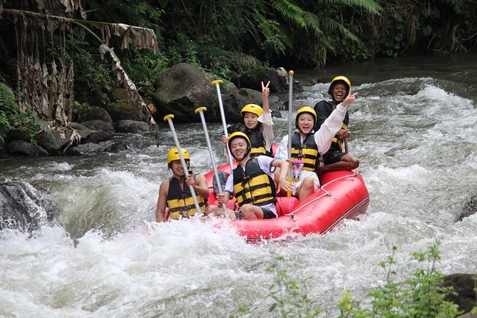 Bali Jungle Swing and White Water Rafting All Inclusive - Customer Reviews