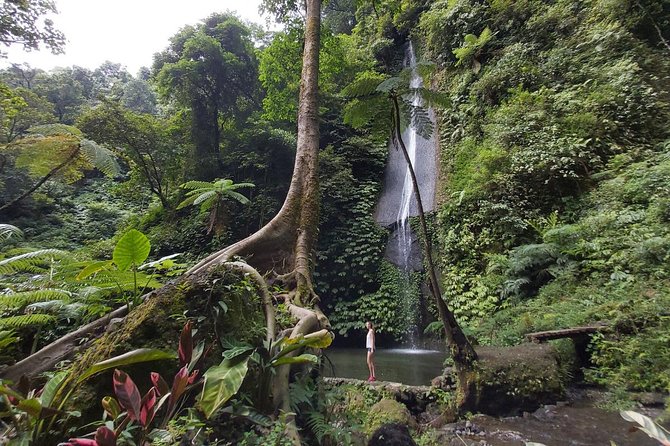 Bali Most Scenic Waterfalls Trekking - Sustainable Practices for Eco-Friendly Trekking