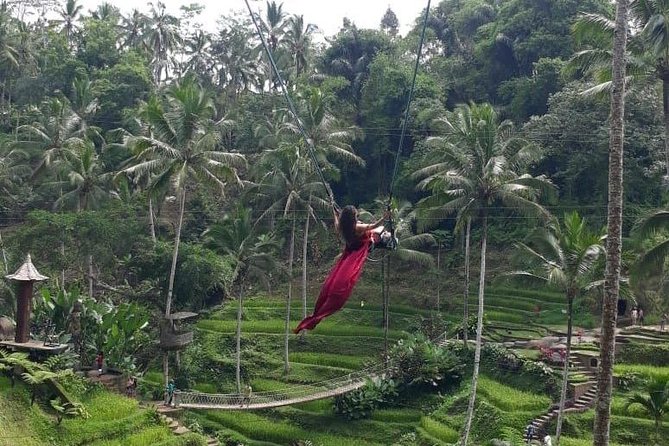 Bali Private 3 Days Tour Package Highlight - Sum Up