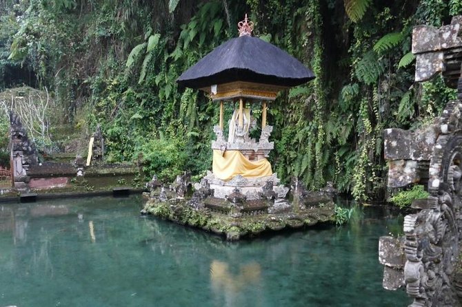 Bali Private Driver Customizable Full-Day Tour  - Ubud - Common questions