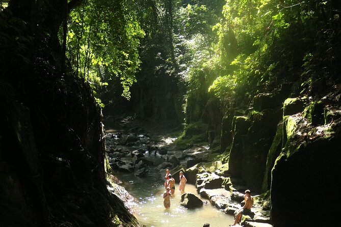 Bali Private Full Day Tour to Visit the Best Waterfalls and Swing Near Ubud - Additional Information and Resources