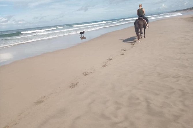 Bali Private Seminyak Horseback Riding Experience - Weather-Dependent Experience Note