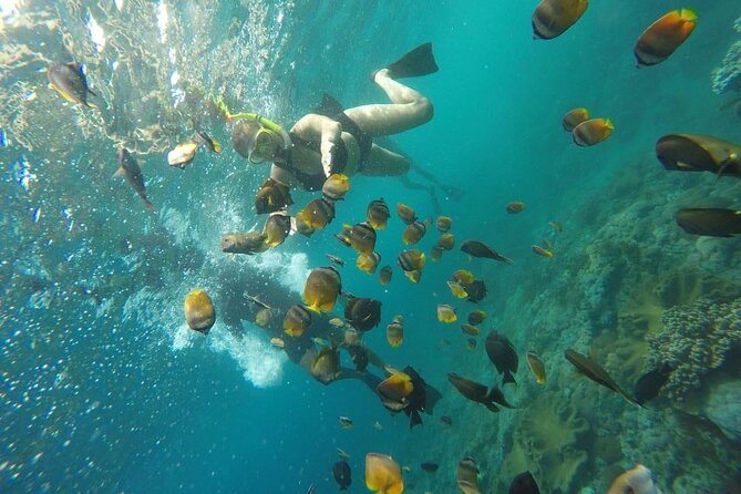 Bali Private Snorkeling (Manta, Gamat, Crystal) and Nusa Penida Tour - Booking and Pricing