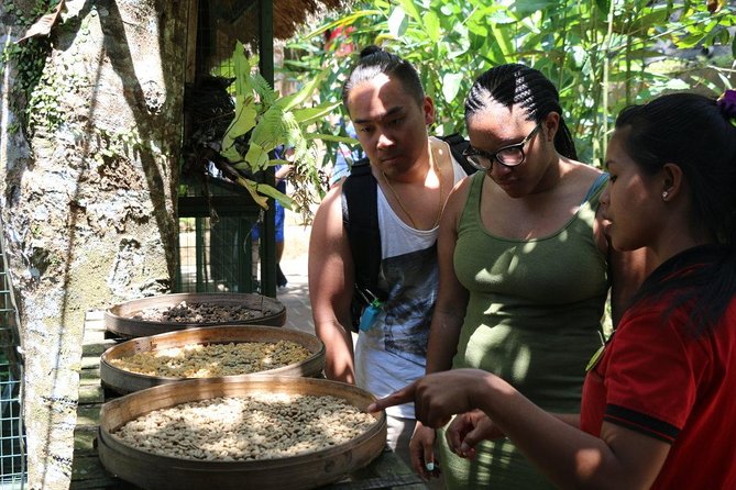 Bali Private Tour Ubud and Kintamani Including Lunch and Waterfall - Common questions